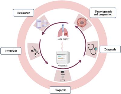 Advances in the application of proteomics in lung cancer